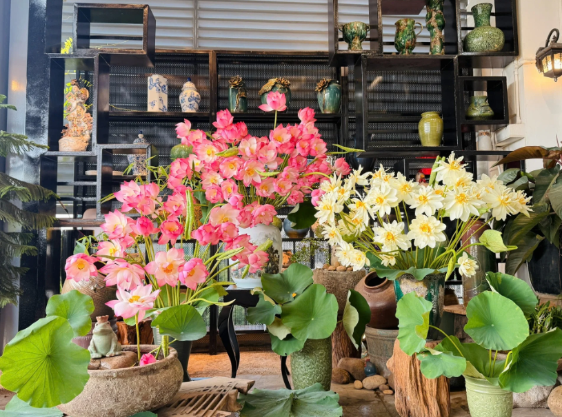 Mê mẩn không gian sống đầy ắp hoa sen của đôi bạn Hà Nội, Hải Phòng
