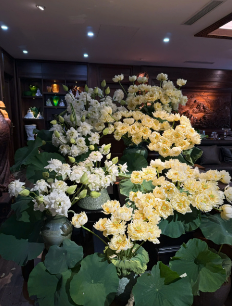 Mê mẩn không gian sống đầy ắp hoa sen của đôi bạn Hà Nội, Hải Phòng