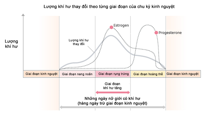 Có thể bạn chưa biết: Rụng trứng bao lâu thì có kinh?