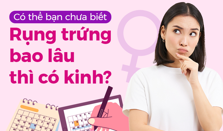 Có thể bạn chưa biết: Rụng trứng bao lâu thì có kinh?