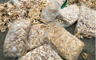 Bắt giữ hơn 1 tấn chân gà, trứng gà non không nguồn gốc ở Quảng Ninh