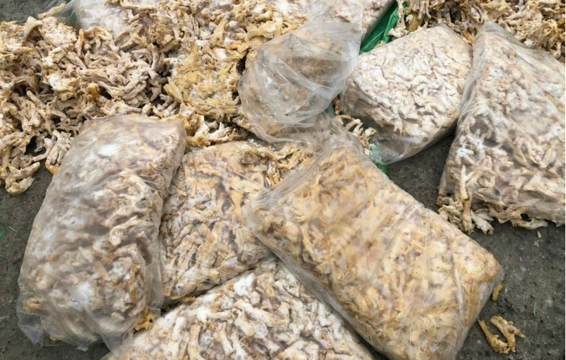 Bắt giữ hơn 1 tấn chân gà, trứng gà non không nguồn gốc ở Quảng Ninh