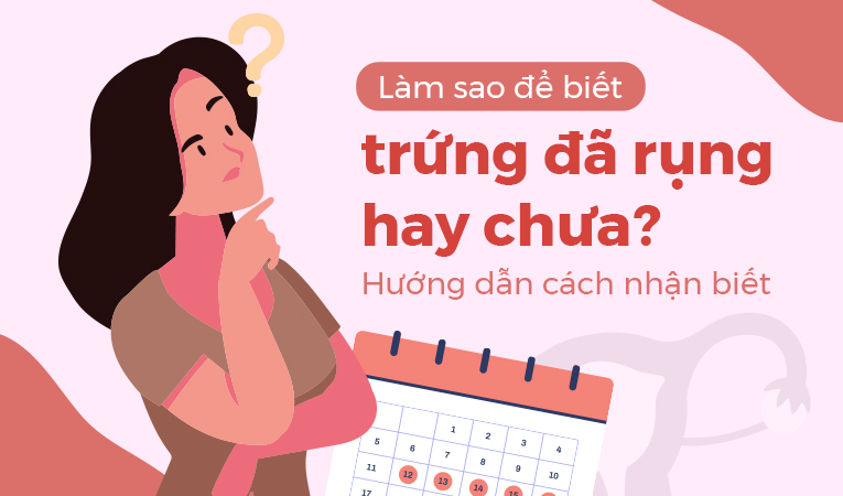 Làm sao để biết trứng đã rụng hay chưa? Hướng dẫn cách nhận biết