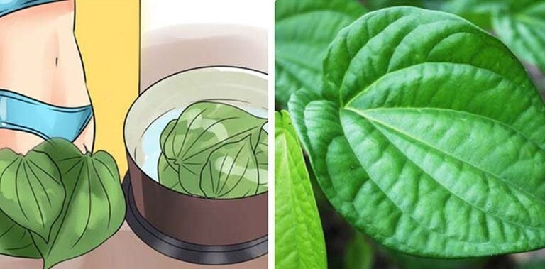 Mách chị em cách vệ sinh khi bị ngứa vùng kín