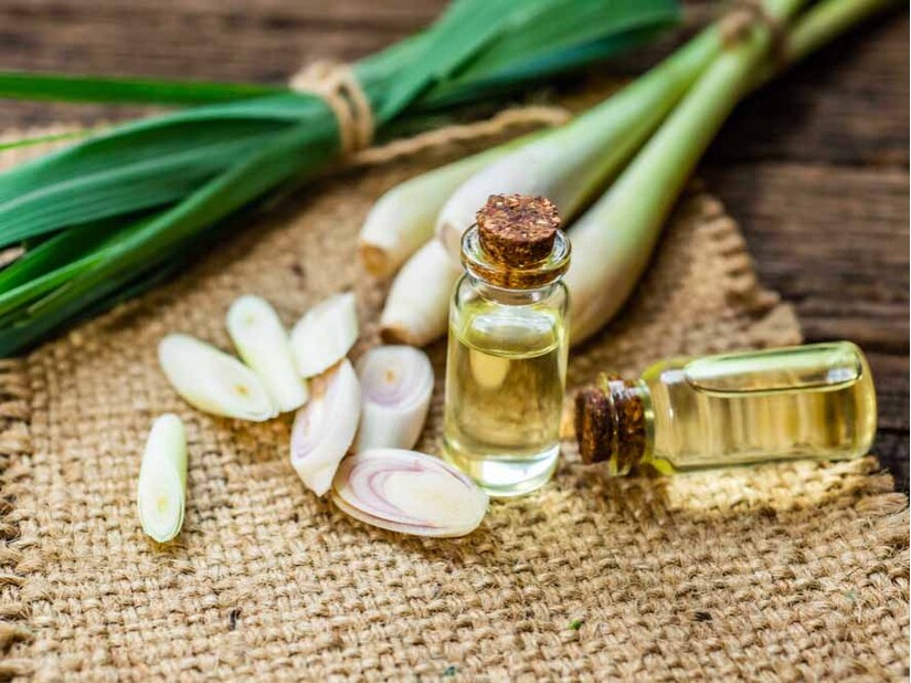 Cách phòng tránh muỗi vằn – Kẻ giết người thầm lặng trong nhà