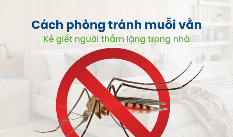 Cách phòng tránh muỗi vằn – Kẻ giết người thầm lặng trong nhà