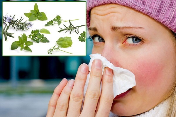 Giải đáp: Ngứa mũi hắt hơi liên tục là bệnh gì?