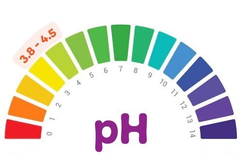Tư vấn: Viêm phụ khoa tái đi tái lại do đâu?
