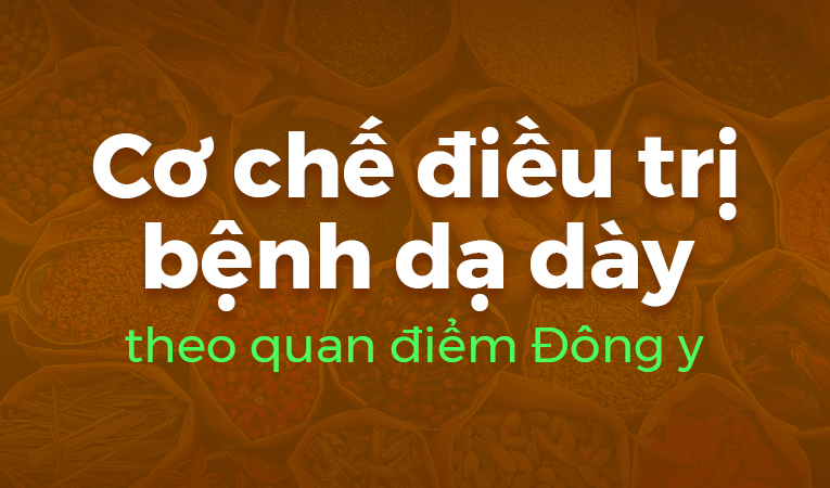 Cơ chế điều trị bệnh dạ dày theo quan điểm Đông y