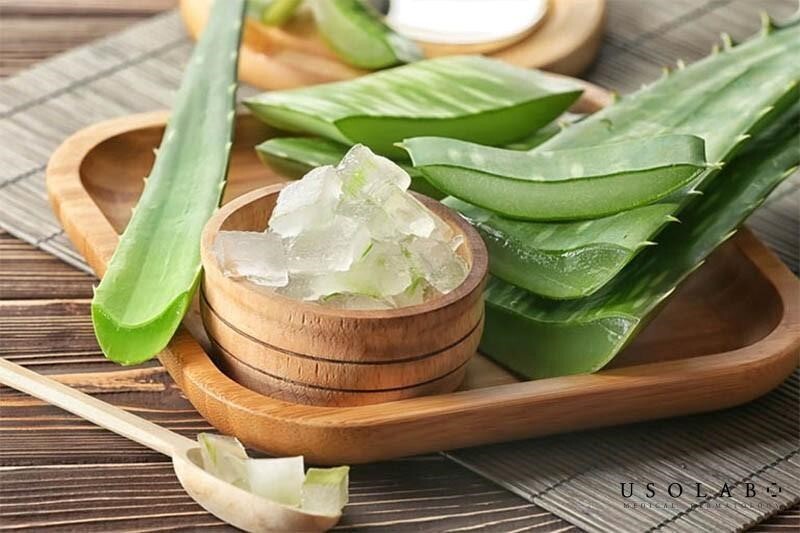 Trẻ bị muỗi đốt sưng đỏ: Hướng dẫn xử trí tại nhà