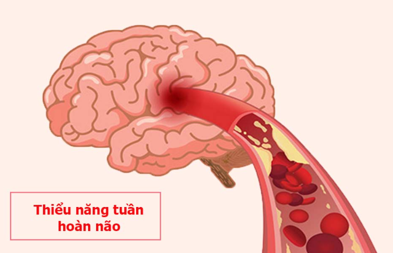 Những thảo dược bổ huyết, hoạt huyết, tăng cường lưu thông máu