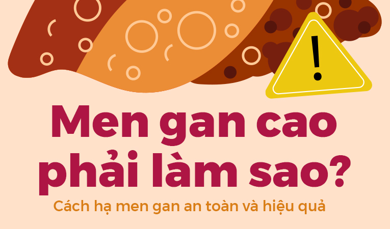 Men gan cao phải làm sao? Cách hạ men gan an toàn và hiệu quả