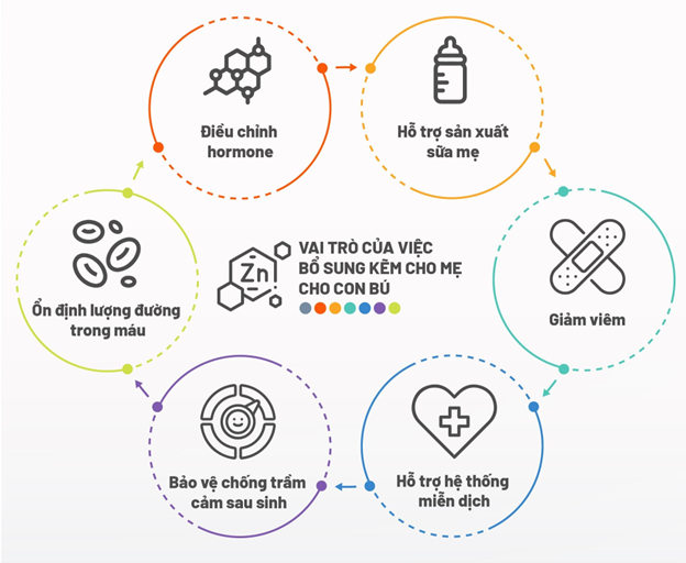 Vai trò của việc bổ sung kẽm sau sinh đối với mẹ và bé