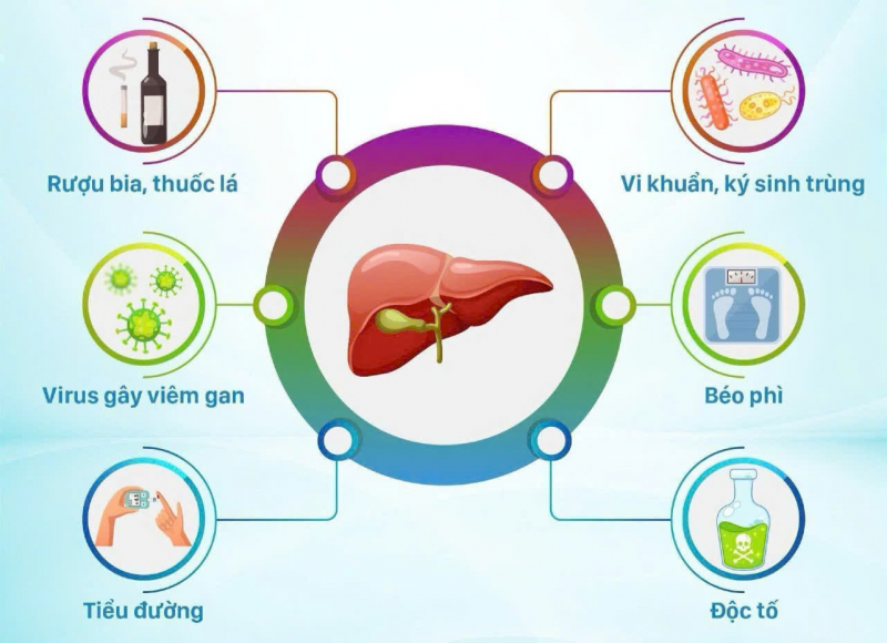Những dấu hiệu nhiễm độc gan: Đừng chủ quan!