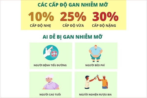 Gan nhiễm mỡ nhẹ: Dấu hiệu nhận biết và cách bảo vệ gan