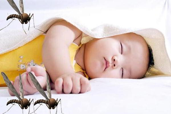 Gợi ý cho mẹ: 5 cách làm dịu da bé khi bị muỗi đốt