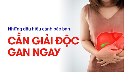 Những dấu hiệu cảnh báo bạn cần giải độc gan ngay