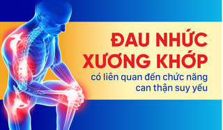 Đau nhức xương khớp có liên quan đến chức năng can thận suy yếu