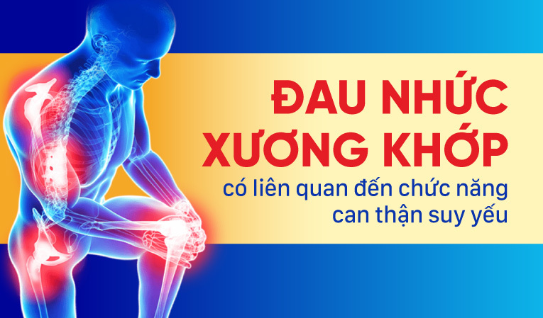 Đau nhức xương khớp có liên quan đến chức năng can thận suy yếu