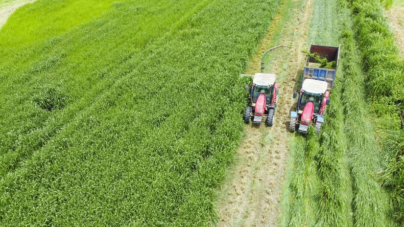 Vinamilk “Mở khóa tự nhiên” tại Green Farm: Mô hình sinh thái truyền cảm hứng doanh nghiệp
