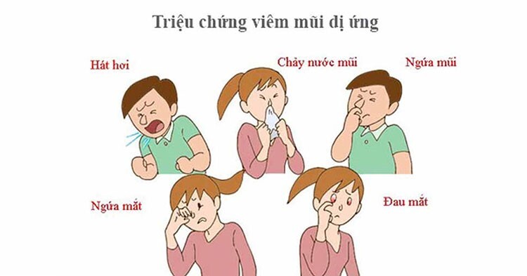 Các cách kiểm soát viêm mũi dị ứng: Không hề khó!