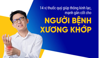 14 vị thuốc quý giúp thông kinh lạc, mạnh gân cốt cho bệnh xương khớp