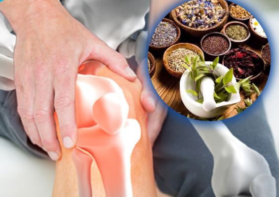 14 vị thuốc quý giúp thông kinh lạc, mạnh gân cốt cho bệnh xương khớp