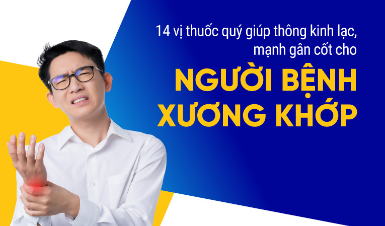 14 vị thuốc quý giúp thông kinh lạc, mạnh gân cốt cho bệnh xương khớp