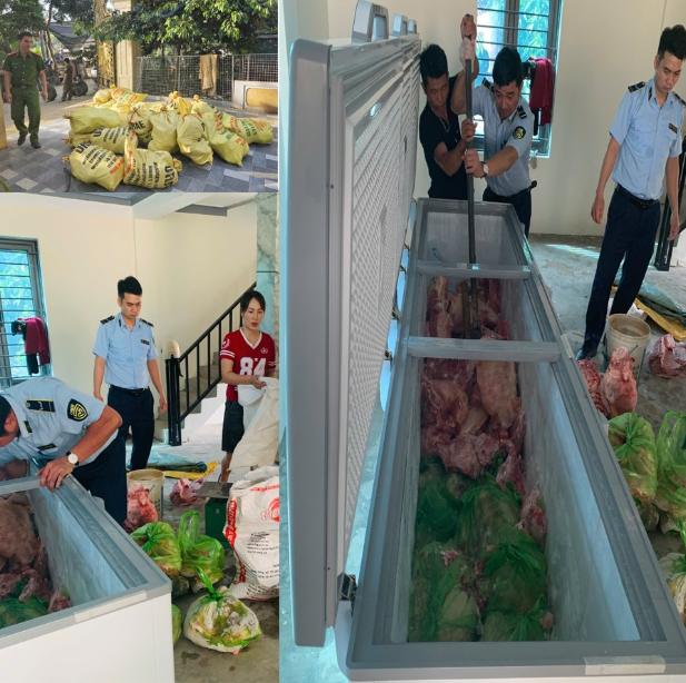 Tạm giữ hình sự 4 người ở Thanh Hoá gom lợn mắc dịch tả mang bán