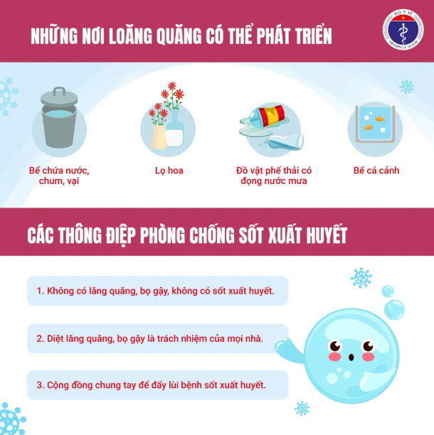 Dịch sốt xuất huyết phức tạp, Hà Nội làm gì để phòng, chống dịch?