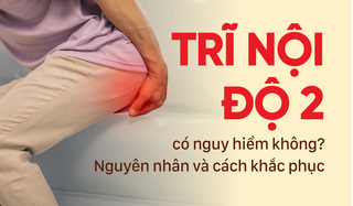 Trĩ nội độ 2 có nguy hiểm không? Nguyên nhân và cách khắc phục 