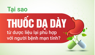 Tại sao thuốc dạ dày từ dược liệu lại phù hợp với người bệnh mạn tính