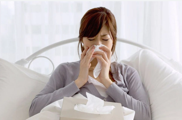 Top những thảo dược phát tán phong hàn, giải cảm nhanh