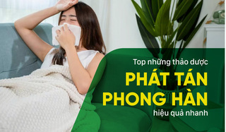 Top những thảo dược phát tán phong hàn, giải cảm nhanh