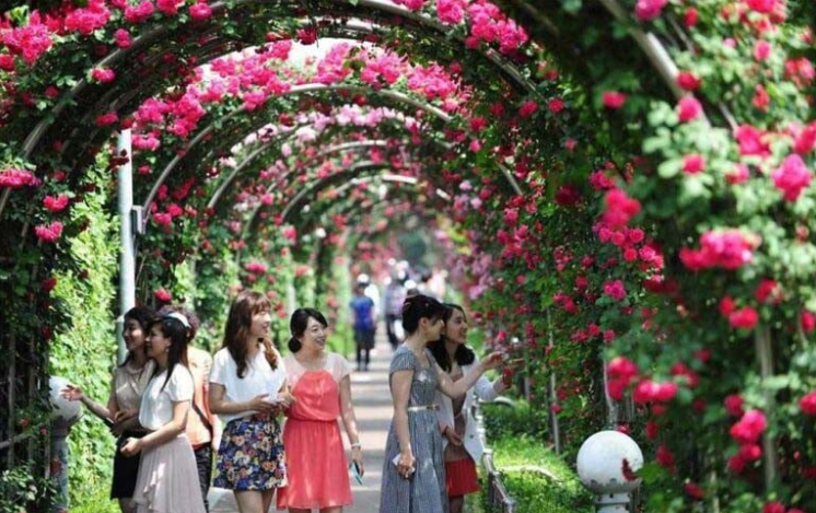 Quốc khánh 2/9 đi đâu: Khám phá những điểm vui chơi “cực đã, cực chill” gần trung tâm Hà Nội