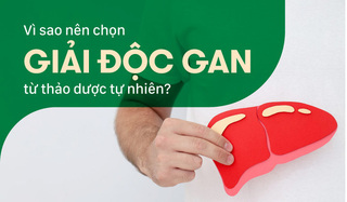 Vì sao nên chọn giải độc gan từ thảo dược tự nhiên?