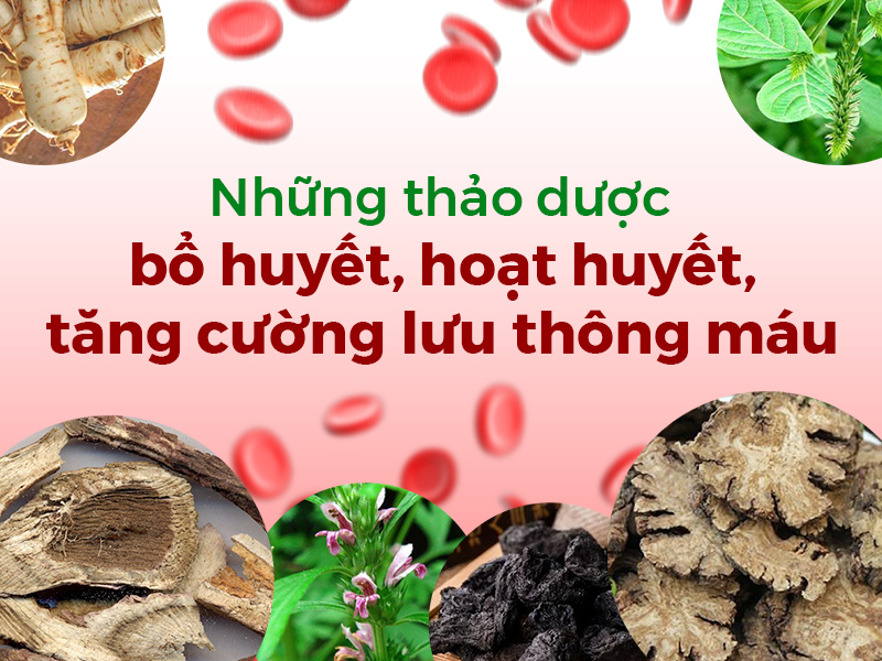Vì sao người cao tuổi dễ bị hoa mắt, chóng mặt và ngủ không ngon?