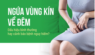 Ngứa vùng kín về đêm Dấu hiệu bình thường hay cảnh báo bệnh nguy hiểm