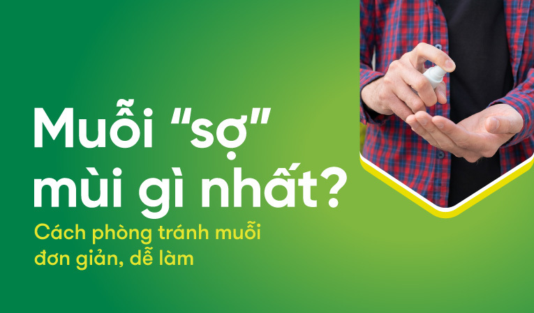 Muỗi “sợ” mùi gì nhất? Cách phòng tránh muỗi đơn giản, dễ làm