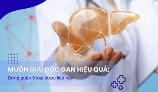 Muốn giải độc gan hiệu quả: Đừng quên 9 dược liệu này