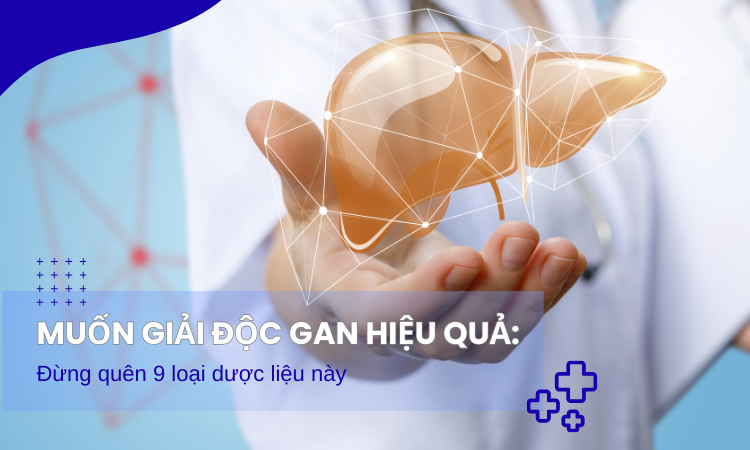 Muốn giải độc gan hiệu quả: Đừng quên 9 dược liệu này