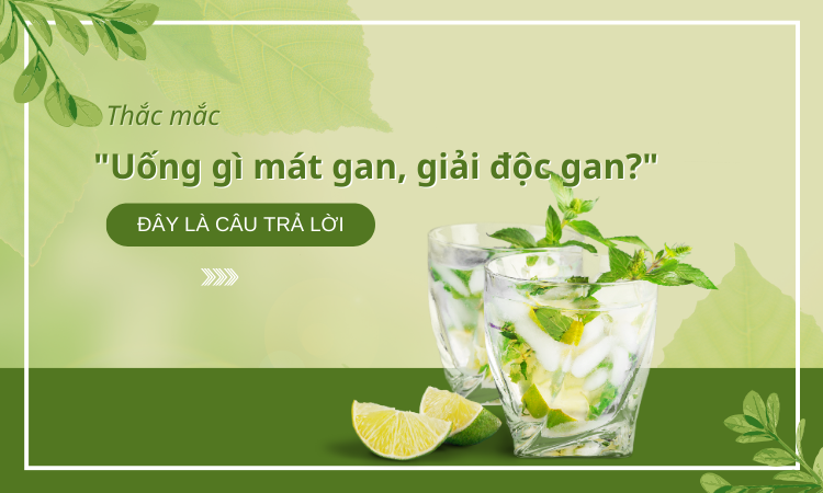 Thắc mắc “uống gì mát gan, giải độc gan?” – Đây là câu trả lời