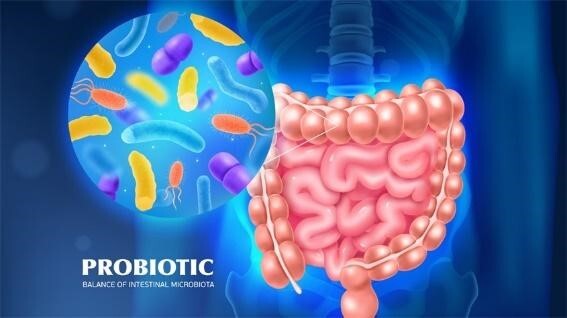 Đau bụng, tiêu chảy liên tục: Cảnh báo hệ tiêu hóa đang gặp vấn đề