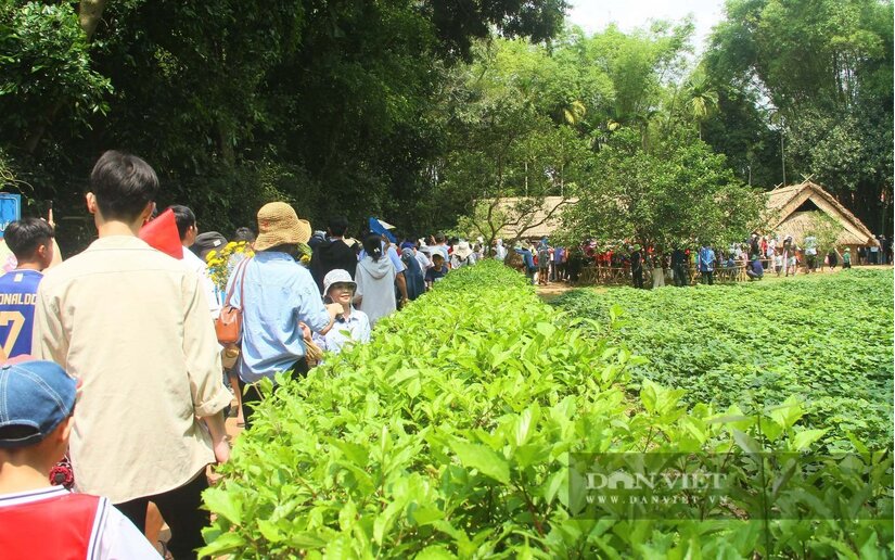 Du lịch miền Trung: Những địa danh cực đẹp, nhất định phải đến một lần trong đời