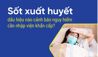Sốt xuất huyết dấu hiệu nào cảnh báo nguy hiểm cần nhập viện khẩn cấp