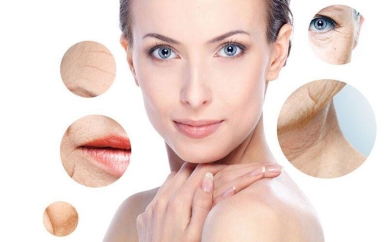 Lão hóa da và vai trò của nội tiết tố Bí quyết giữ gìn nét thanh xuân 