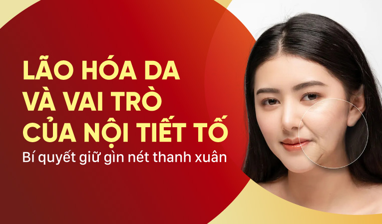 Lão hóa da và vai trò của nội tiết tố Bí quyết giữ gìn nét thanh xuân 