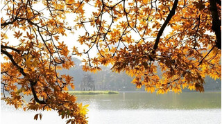 Hà Nội lọt top điểm ngắm lá mùa thu đẹp nhất châu Á