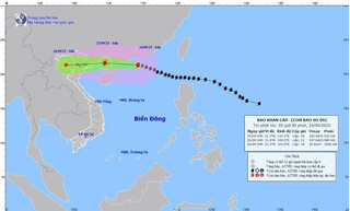 Siêu bão Ragasa cách Quảng Ninh khoảng 650km