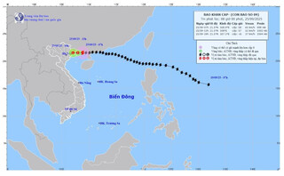 Bão Ragasa gây mưa lớn khu vực Bắc Bộ